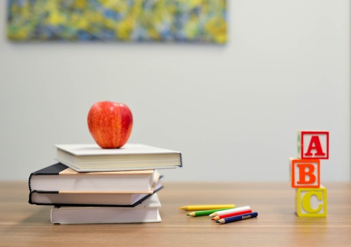 Parent and child studying at home